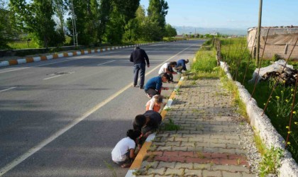 Muşta yağan bilinmeyen cisimler şaşırttı