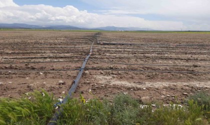 Niğdede üreticilere 110 milyon 216 bin 58 TLlik hibe desteği sağlanacak