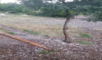 Tavşanlıda ceviz büyüklüğünde dolu yağdı
