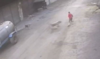 Adanada 14 yaşındaki çocuk başıboş köpeklerin saldırısına uğradı