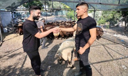 Adanada kurban fiyatları düşüyor