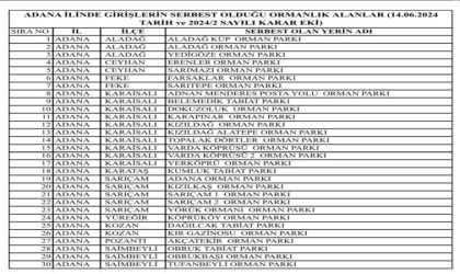 Adanada yangınların önüne geçebilmek amacıyla ormanlık alanlara girişler yasaklandı