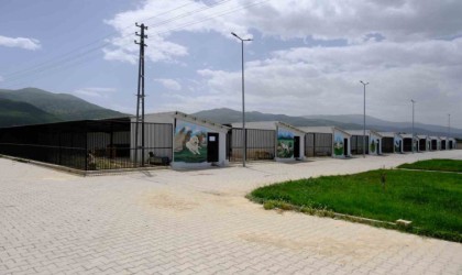 Akşehir Belediyesinden Bir Can Bir Yuva projesi