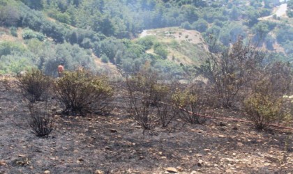 Alanyada otluk olan yangını itfaiye ekiplerince söndürüldü