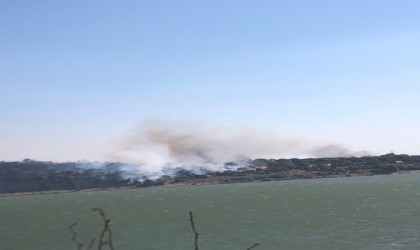 Aliağada makilik ve otluk alanda çıkan yangın söndürüldü