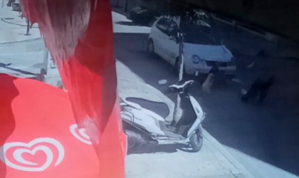 Anne ve 2 çocuğu ölümden döndü