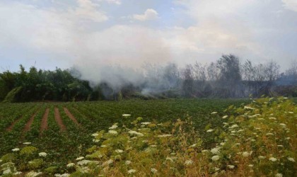 Antalyada çıkan yangın ağaçlara sıçradı, vatandaş korkuya kapıldı