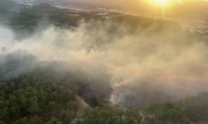 Antalyada gece başlayan orman yangını sabahın ilk ışıkları ile kontrol altına alındı