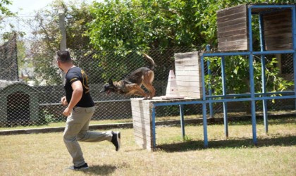 Antalyada para ve madde kokusuna duyarlı köpekler operasyonların kurtarıcısı