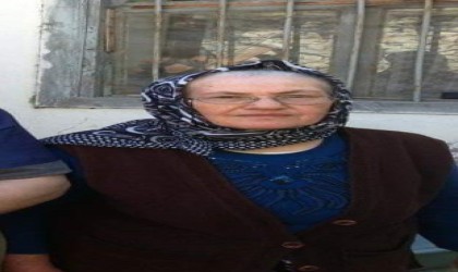 Artvinin Yusufeli ilçesinde yılanın ısırdığı yaşlı kadın hayatını kaybetti