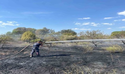 Aydın Büyükşehir Belediyesi İtfaiyesinden hızlı müdahale