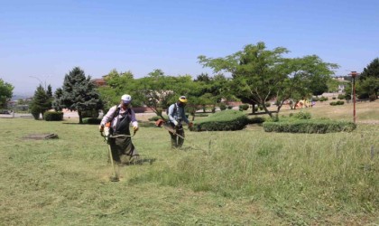 Bahçeşehir bölgesinde mesire alanları otlardan temizlendi