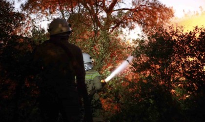 Bakan Yumaklı: Kuşadasındaki orman yangını kontrol altında