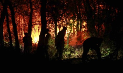 Bakanlıktan Kuşadası açıklaması