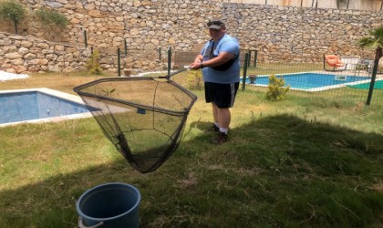 Başkan Sürücü: “Atıl havuzlara dikkat”