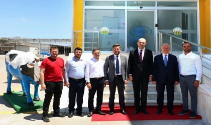 Başkan Tatık, Tavasa mandıra kazandırmak için kolları sıvadı