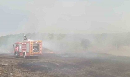 Batmandaki anız yangını rüzgarın etkisiyle yayıldı