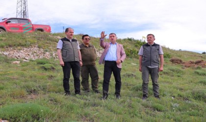 Bayburtta bin dekarlık alanda 300 bin fide toprakla buluşturulacak