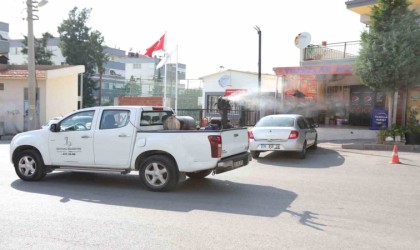 Bayraklıda ilaçlama seferberliği