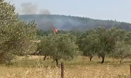 Bergamada orman yangını