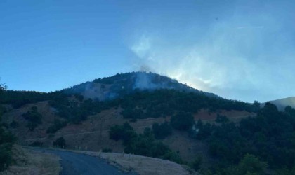 Bingöldeki orman yangını büyümeden söndürüldü