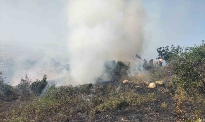 Bursada 1,5 hektar otluk alan yandı