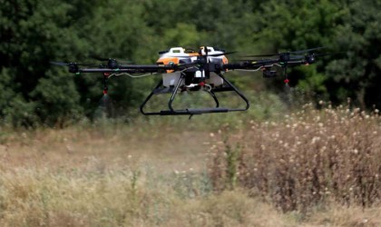 Bursada haşerelere karşı dronlu mücadele