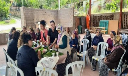 Çal yaprağı altın gibi saklanacak