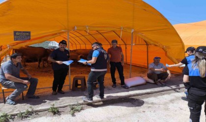 Çankırıda Kurban Bayramı öncesinde dolandırıcılara karşı bilgilendirme