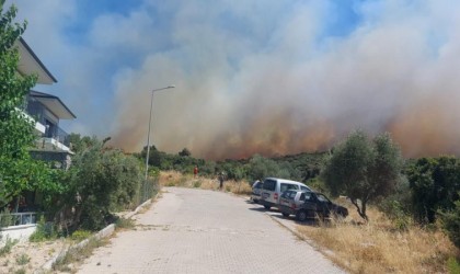 Çeşmede ormanlık alandaki yangın 10 saat sonra kontrol altında