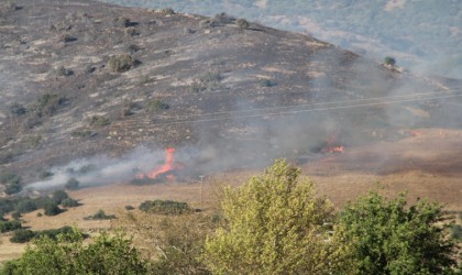 Çinedeki orman yangını kontrol altına alındı