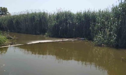 Didimde hayalet ağ operasyonu: Sahipsiz gergi ağları imha edildi