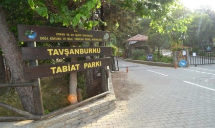 Didimde orman kampı açıldı