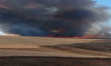 Diyarbakırda bin dönümlük arazi küle döndü
