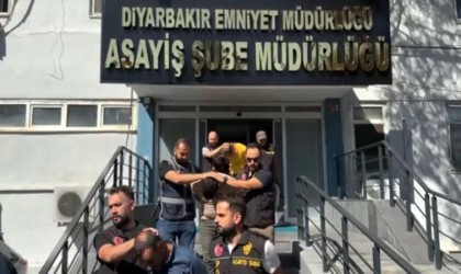 Diyarbakırda ‘Hasat operasyonu: 9 gözaltı