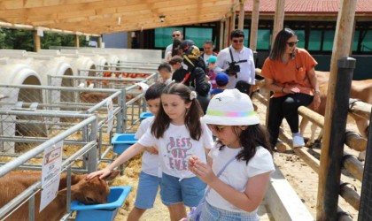Dünya Süt Gününü coşkuyla kutlandılar