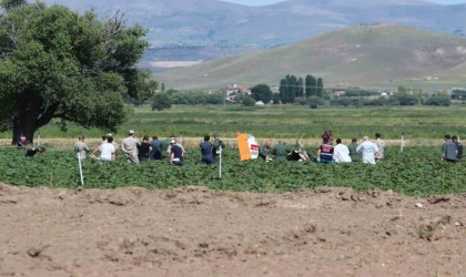Düşen uçağın enkazında incelemeler sürüyor