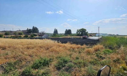 Gaziantepte 10 dönüm buğday tarlası küle döndü