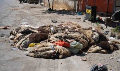 Gaziantepte mide bulandıran görüntüler