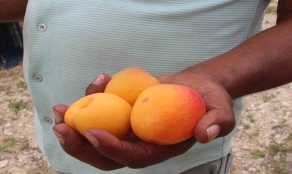 Hal Başkanı Zeki Cüce: Denetimler kayıt dışını önledi