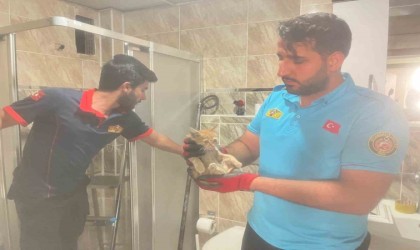 Havalandırma boşluğuna düşen yavru kedi böyle kurtarıldı