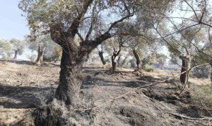 İncelemeler tamamlandı, Bakanlığa afet ihbarı yapılacak