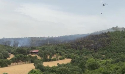 İvrindide orman yangını