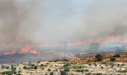 İzmir Menderesteki yangının ardından bir yangın da Çeşmede başladı