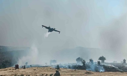 İzmirde otluk alanda yangın