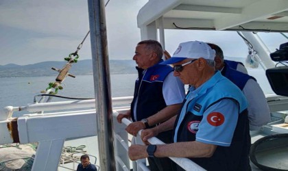 Karadenizde Türk somonu hasadı