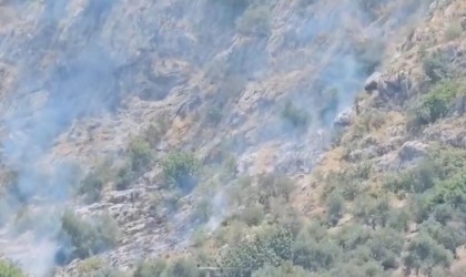 Kozan Kalesi eteklerinde çıkan örtü yangını söndürüldü