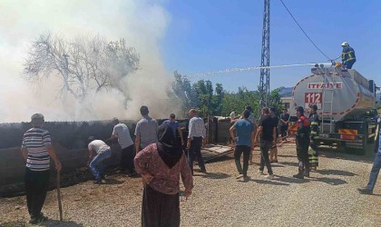 Kozanda çıkan yangında 1 kişi hastaneye kaldırıldı, 20 küçükbaş hayvan son anda kurtuldu