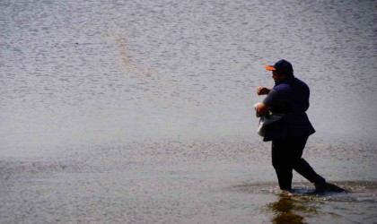 Kuraklık tehlikesi için uyarı: Çeltikte damla sulama sistemi kullanılmalı