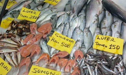 Kurban Bayramı öncesinde balık tezgahlarında son durum